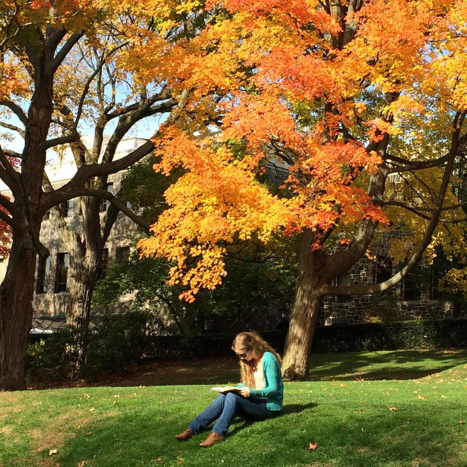 Tufts University